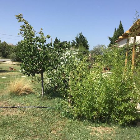 Le Jardin Du Castillon Paradou Eksteriør bilde