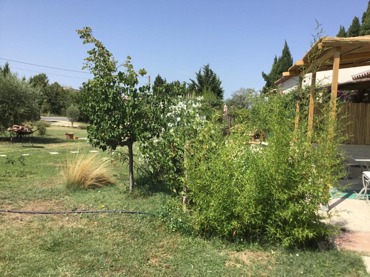 Le Jardin Du Castillon Paradou Eksteriør bilde