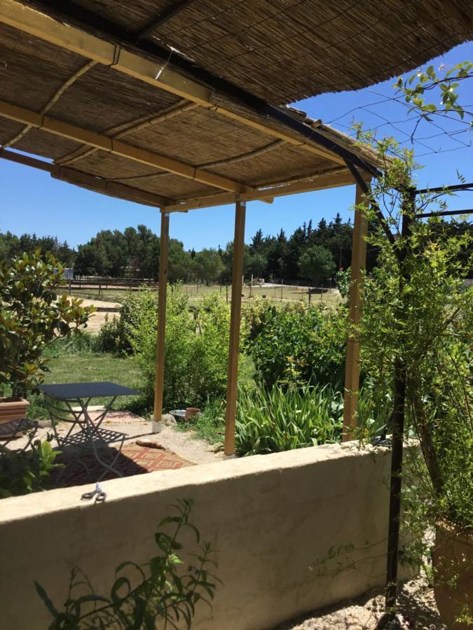 Le Jardin Du Castillon Paradou Eksteriør bilde