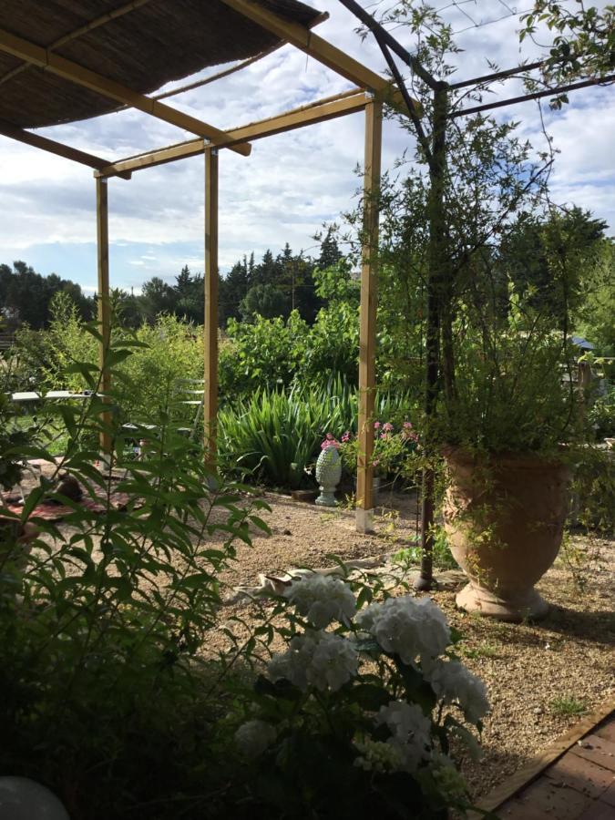 Le Jardin Du Castillon Paradou Eksteriør bilde